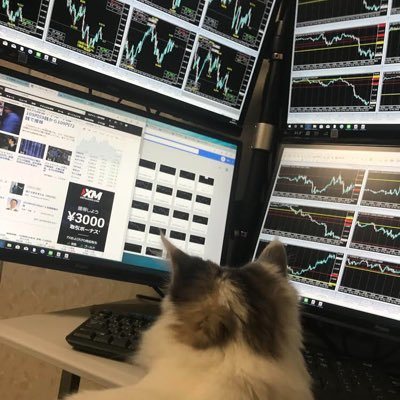 徳田尚生（いわちゃん）のアイコン。チャートが並ぶモニターの前に座る猫